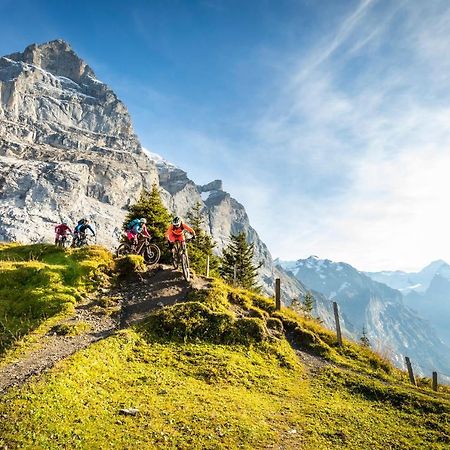 Mountain Lodge Urweider Innertkirchen Exteriér fotografie