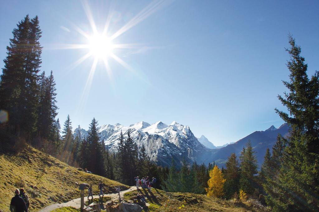 Mountain Lodge Urweider Innertkirchen Exteriér fotografie