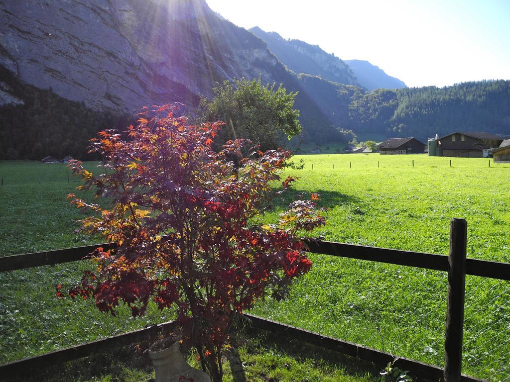 Mountain Lodge Urweider Innertkirchen Exteriér fotografie