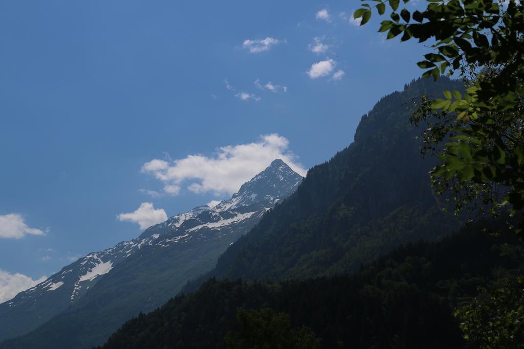 Mountain Lodge Urweider Innertkirchen Pokoj fotografie