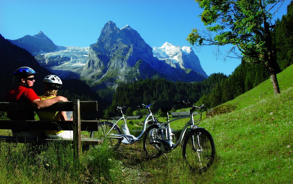 Mountain Lodge Urweider Innertkirchen Exteriér fotografie