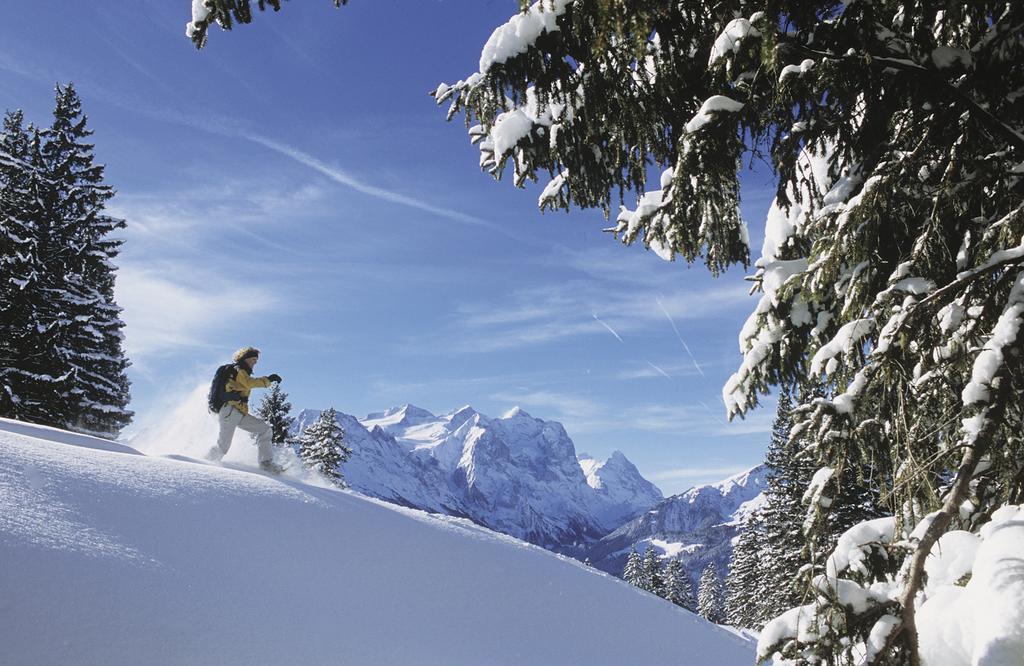 Mountain Lodge Urweider Innertkirchen Exteriér fotografie