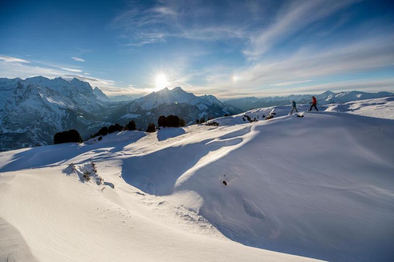 Mountain Lodge Urweider Innertkirchen Exteriér fotografie