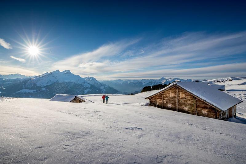 Mountain Lodge Urweider Innertkirchen Exteriér fotografie