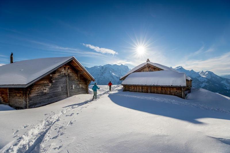 Mountain Lodge Urweider Innertkirchen Exteriér fotografie