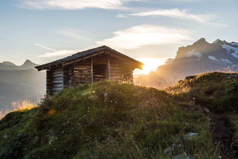 Mountain Lodge Urweider Innertkirchen Exteriér fotografie