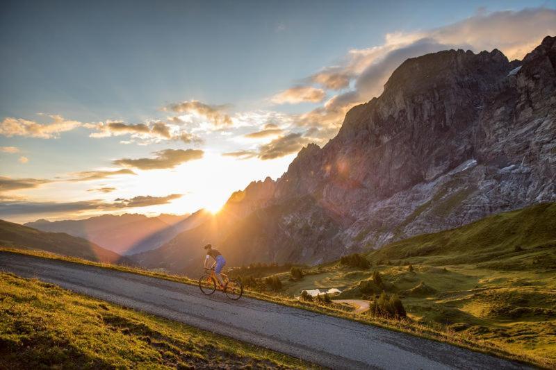 Mountain Lodge Urweider Innertkirchen Exteriér fotografie